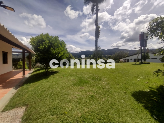 Imagen de lote 1