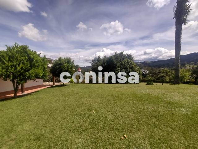 Imagen de lote 2