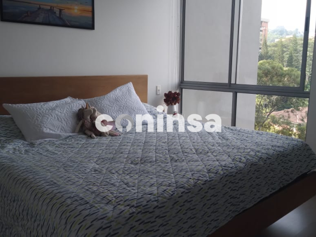 Imagen de Apartamento 8