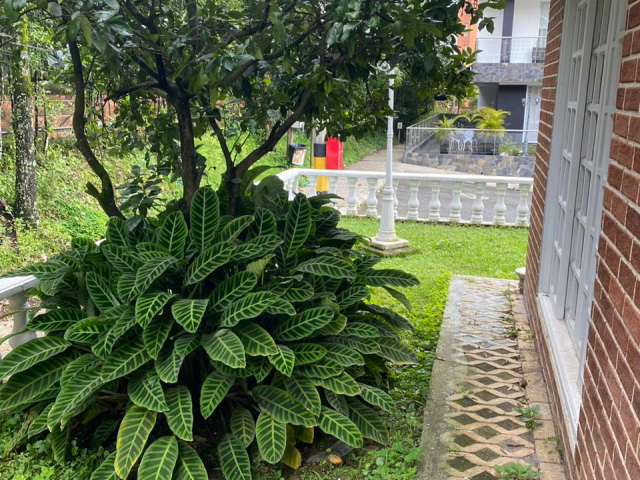 Imagen de Casa