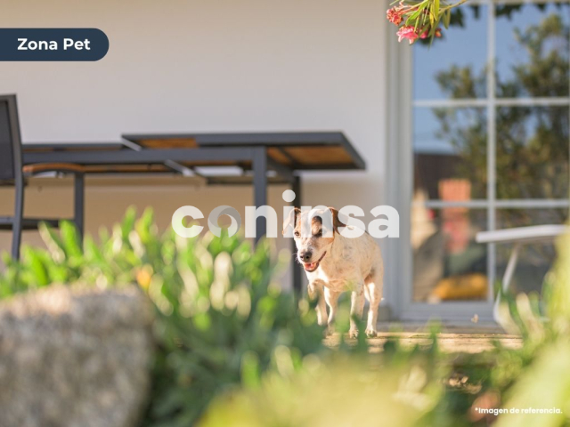 Imagen principal del proyecto undefined